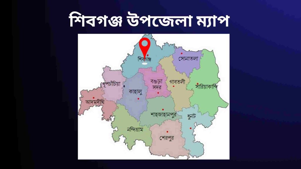 শিবগঞ্জ উপজেলা ম্যাপ 
